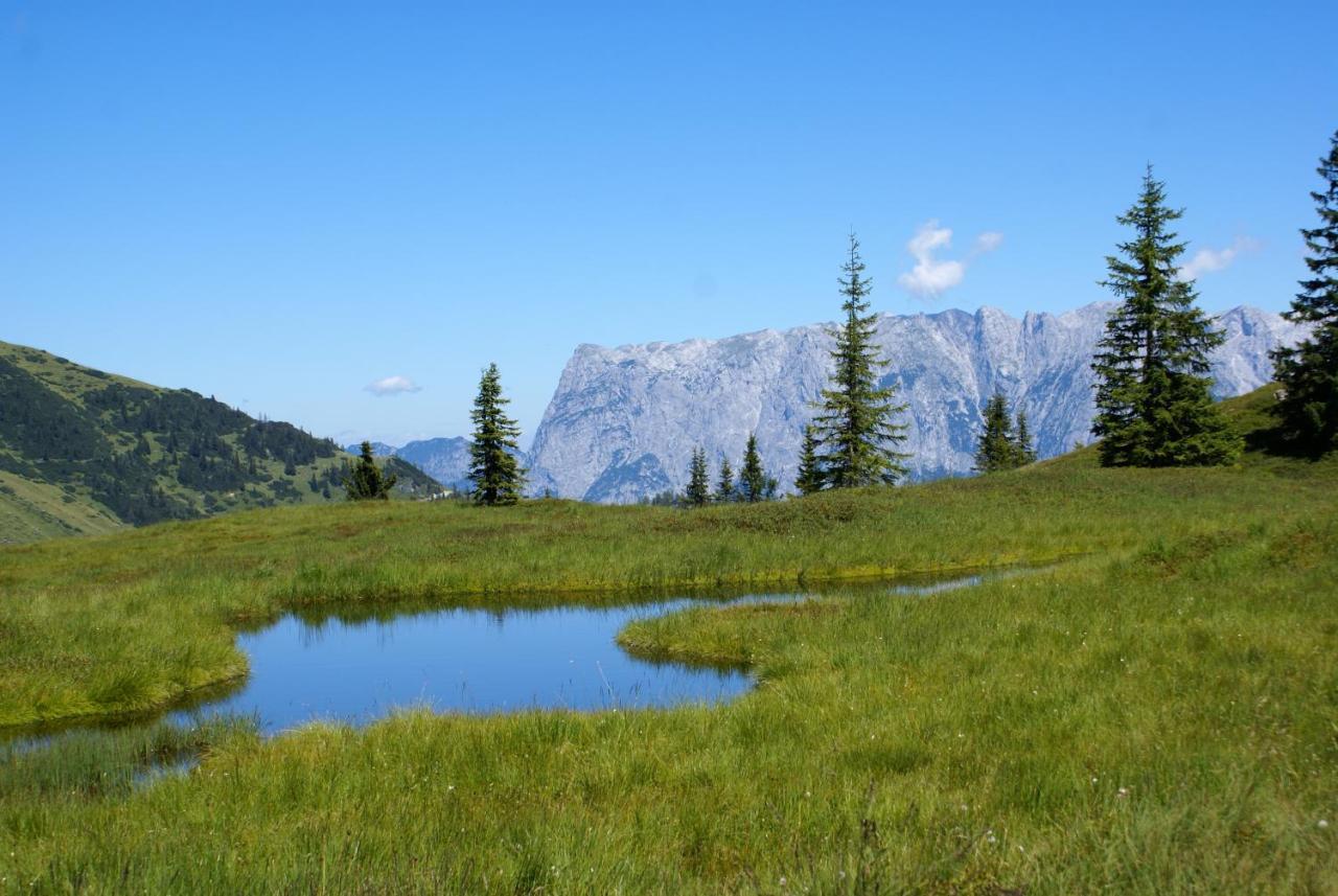 Das Sonneck Mühlbach am Hochkönig Eksteriør billede
